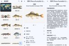 鱼星球纯净版9.29.83全球鱼类图鉴与钓鱼全攻略